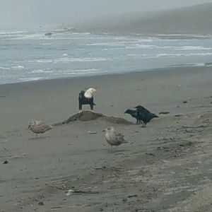 Meet your Posher, Gail